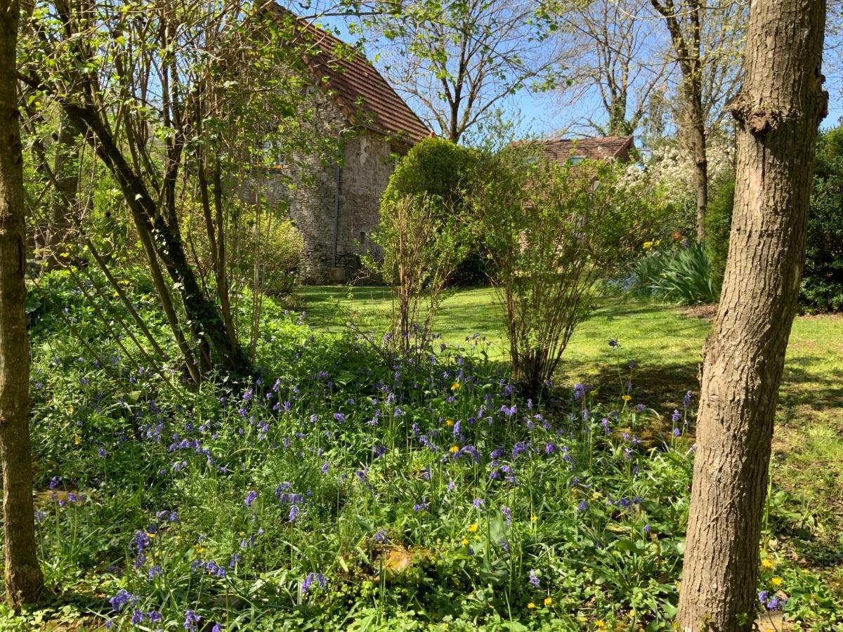 Bed and Breakfast Le moulin de la Castellerie Moon-sur-Elle Esterno foto