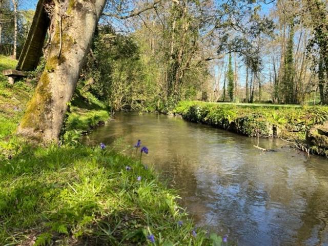 Bed and Breakfast Le moulin de la Castellerie Moon-sur-Elle Esterno foto