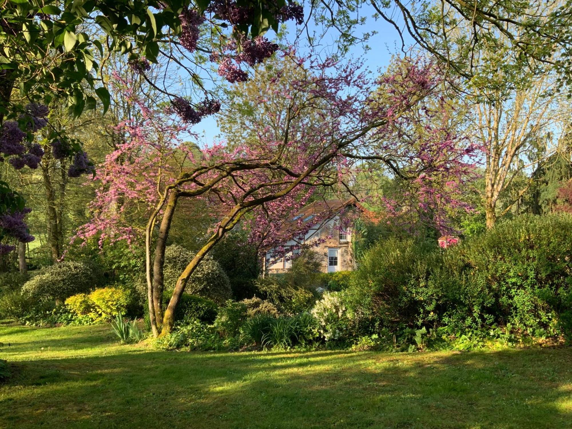 Bed and Breakfast Le moulin de la Castellerie Moon-sur-Elle Esterno foto