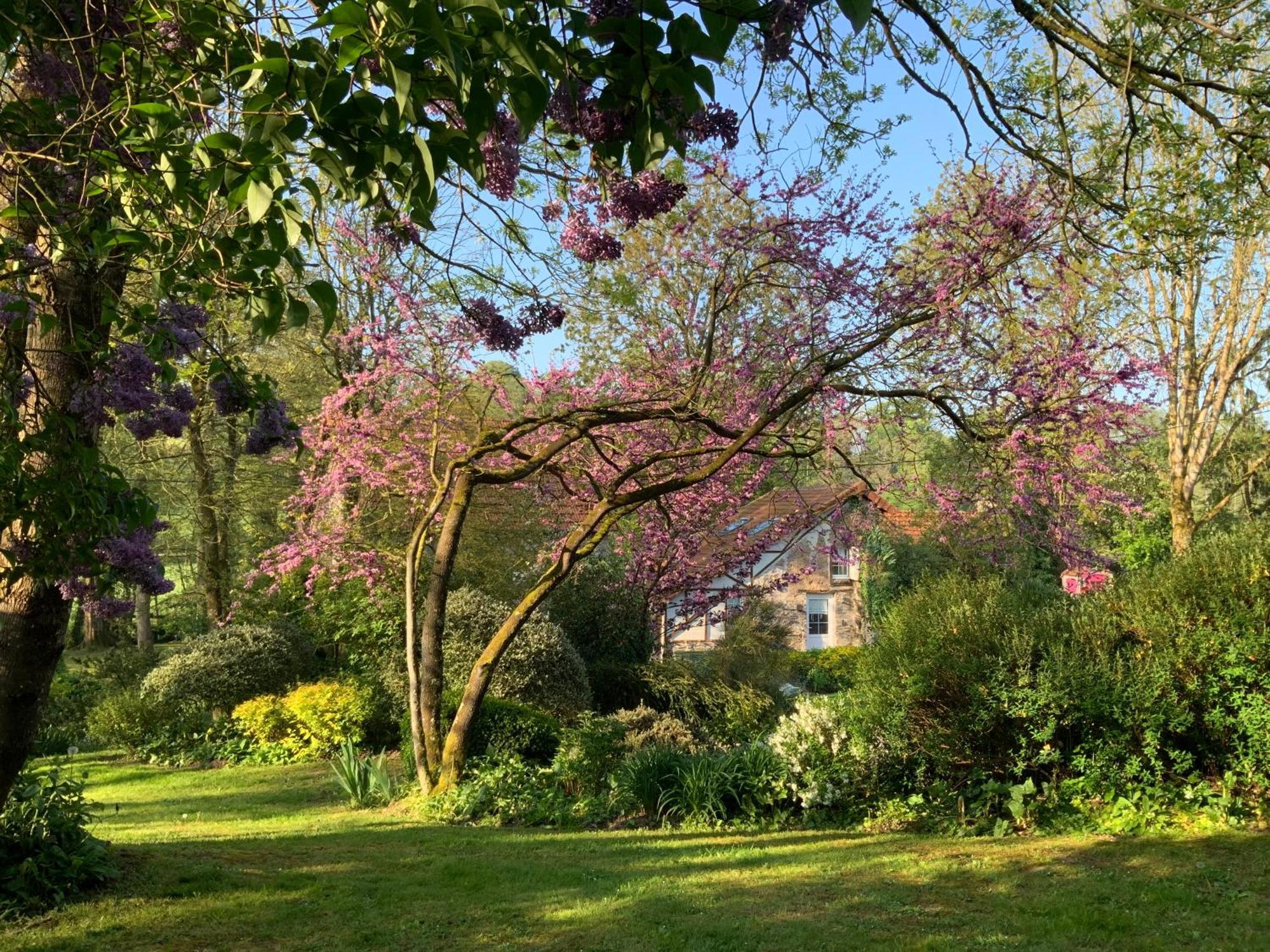 Bed and Breakfast Le moulin de la Castellerie Moon-sur-Elle Esterno foto