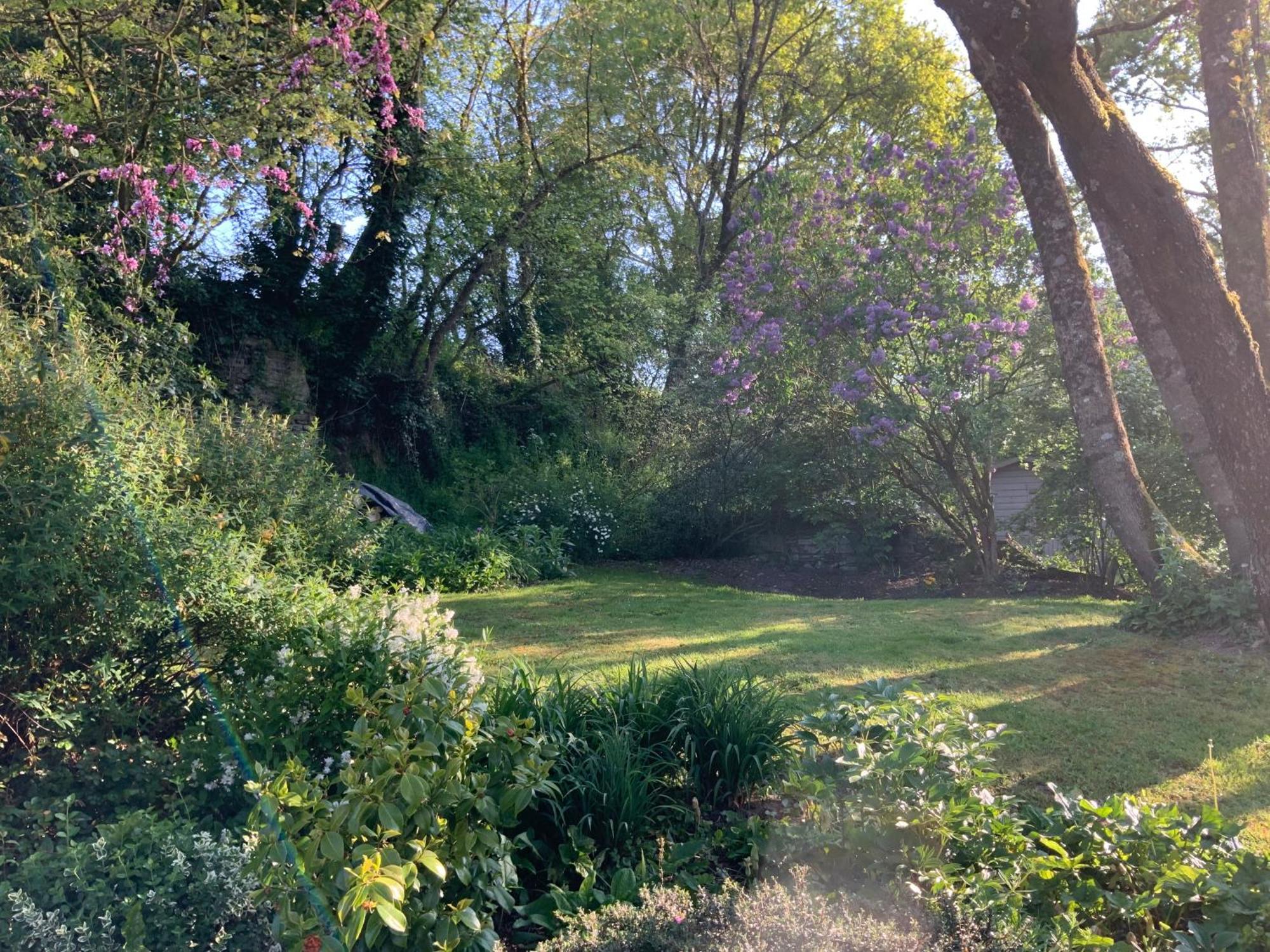 Bed and Breakfast Le moulin de la Castellerie Moon-sur-Elle Esterno foto