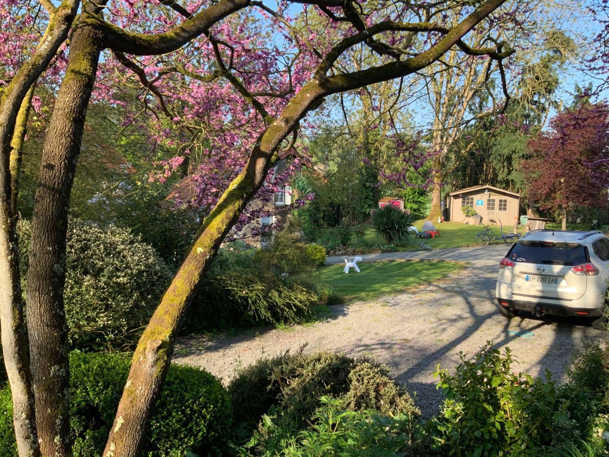 Bed and Breakfast Le moulin de la Castellerie Moon-sur-Elle Esterno foto