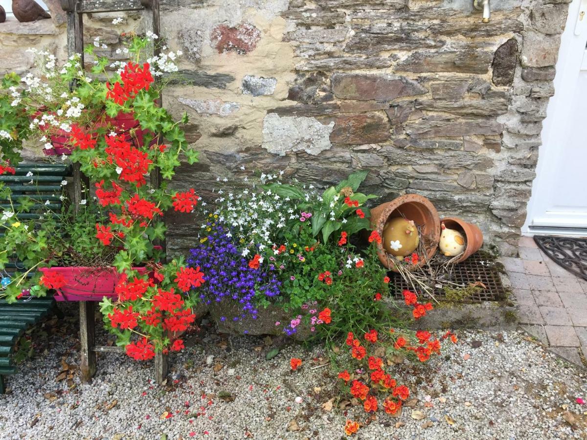 Bed and Breakfast Le moulin de la Castellerie Moon-sur-Elle Esterno foto