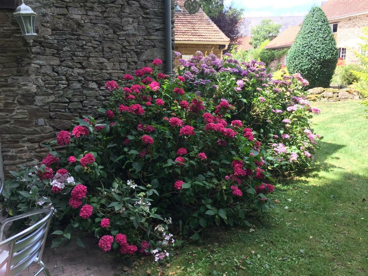 Bed and Breakfast Le moulin de la Castellerie Moon-sur-Elle Esterno foto
